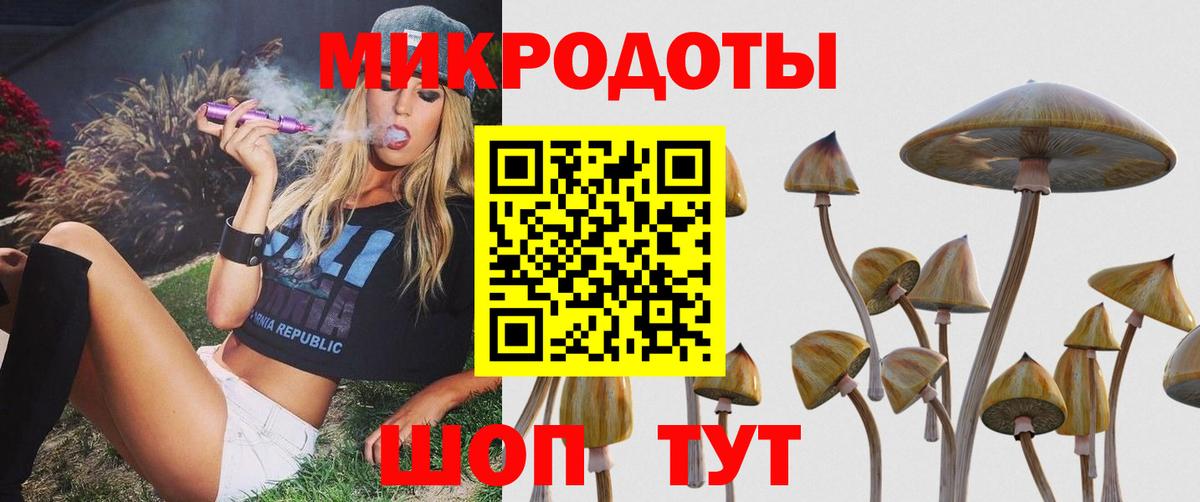 Псилоцибиновые грибы мицелий Тосно