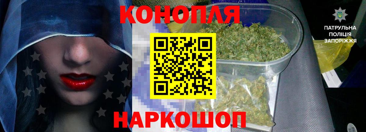 Бошки марихуана план Тосно